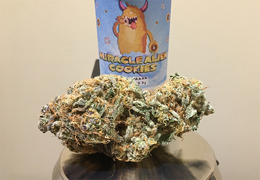 Miracle Alien Cookies