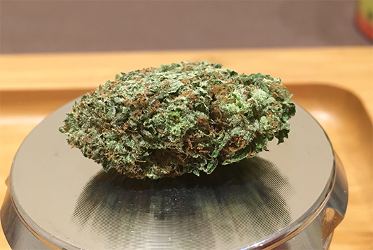 Bluefin Tuna Kush