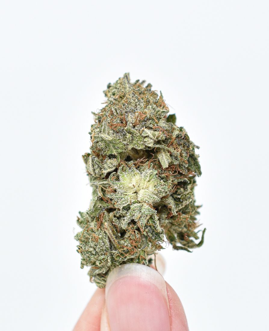 Platinum-Kush-strain-3.jpg