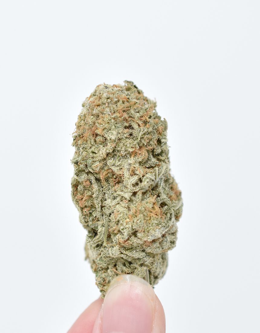 Romulan-strain-3.jpg