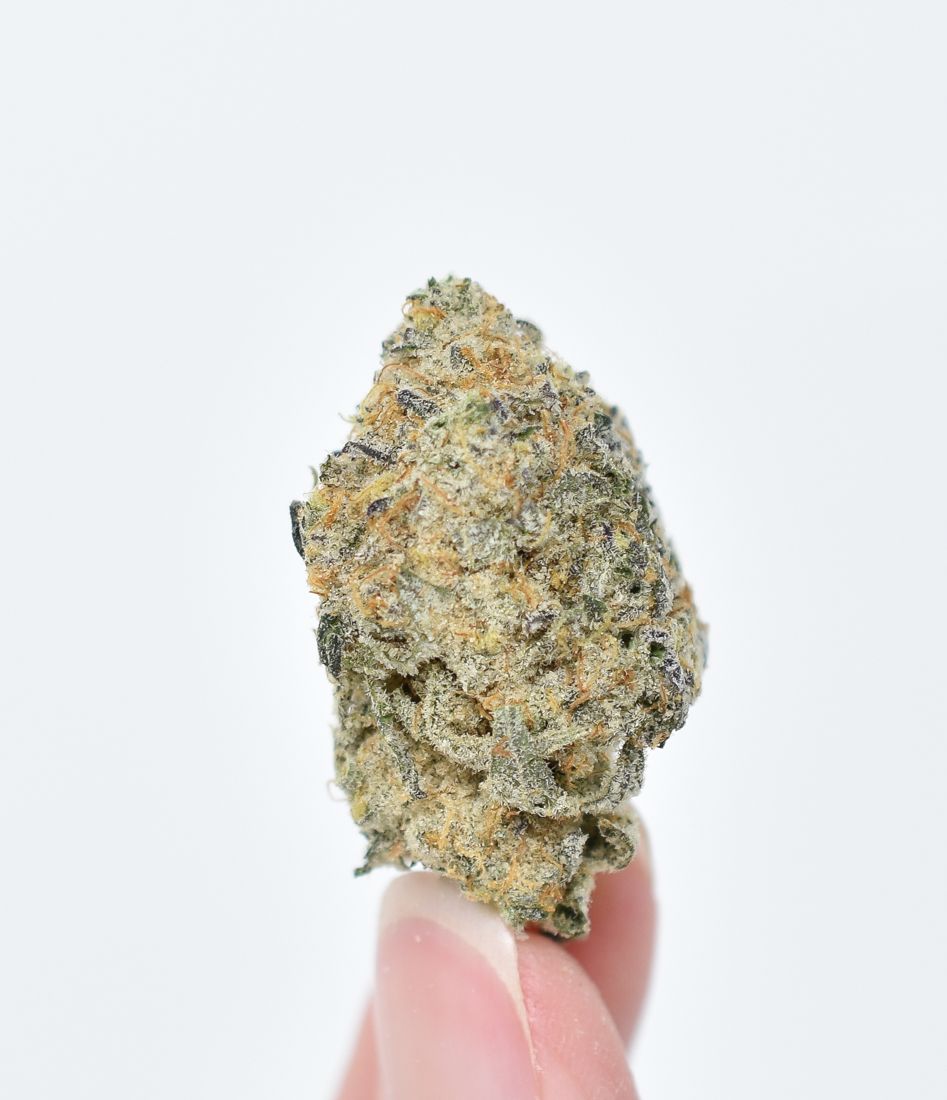 Candyland-strain-3.jpg