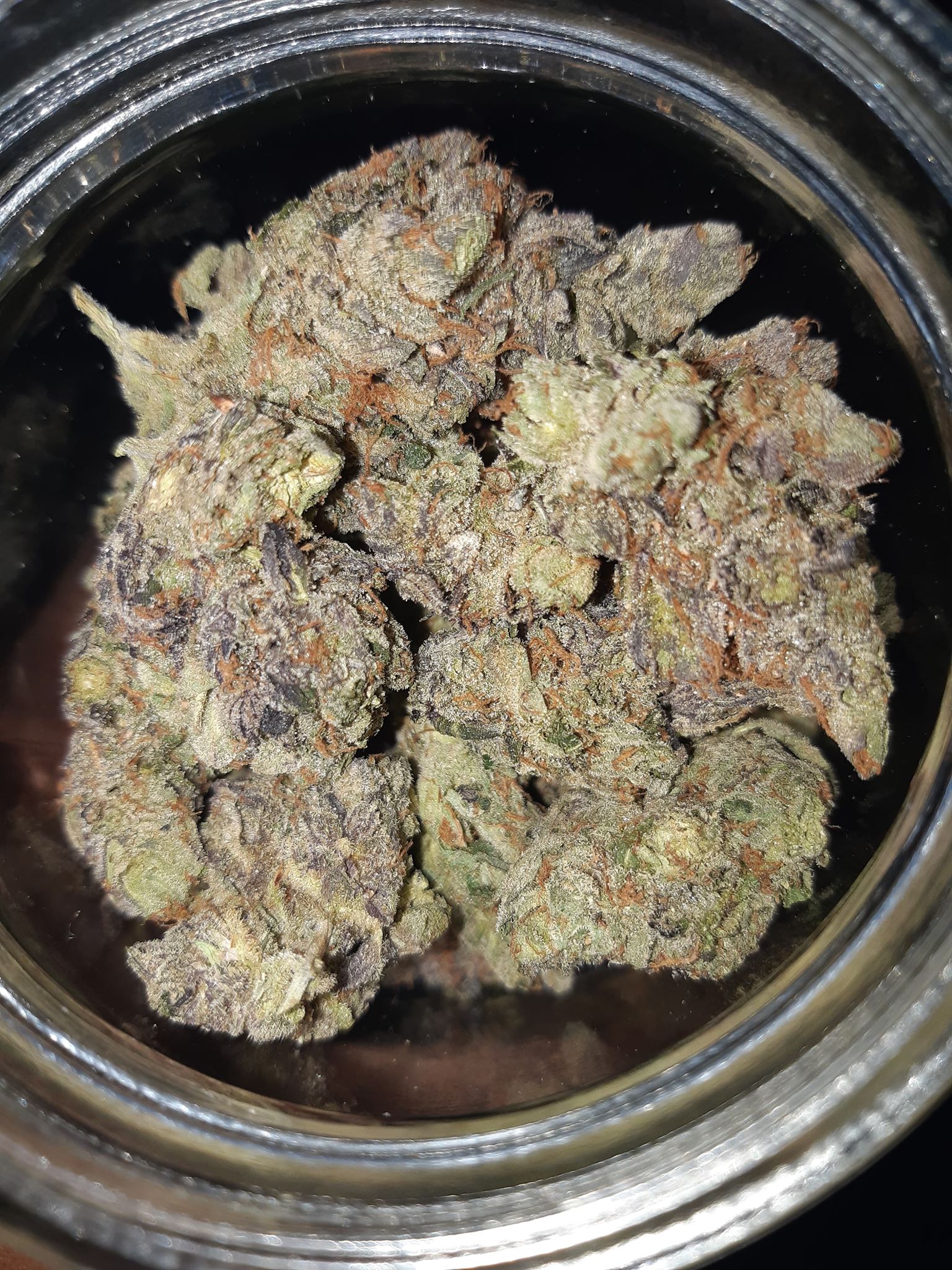 pinkkush3116898840_318916872847841_7581574425175097329_n.jpg