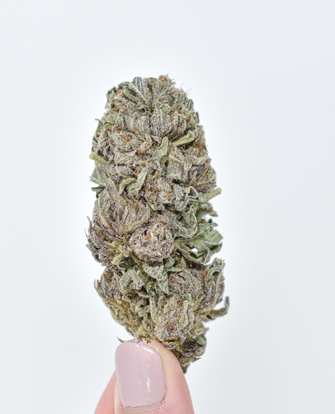 Purple-Diamond-Strain-1.jpg