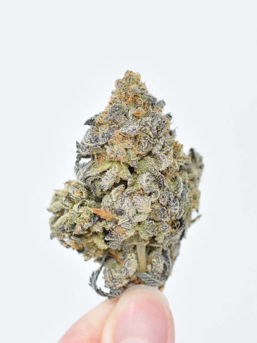 Weddin-Cake-strain-3.jpg