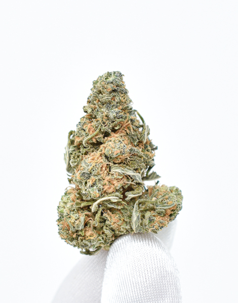 Gorilla-Glue-Strain-2.jpg