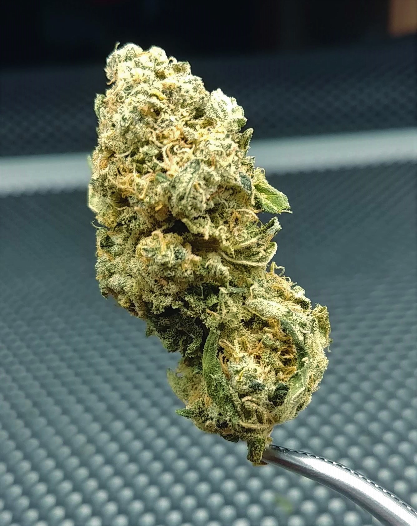 20201007_145739_HDR.jpg