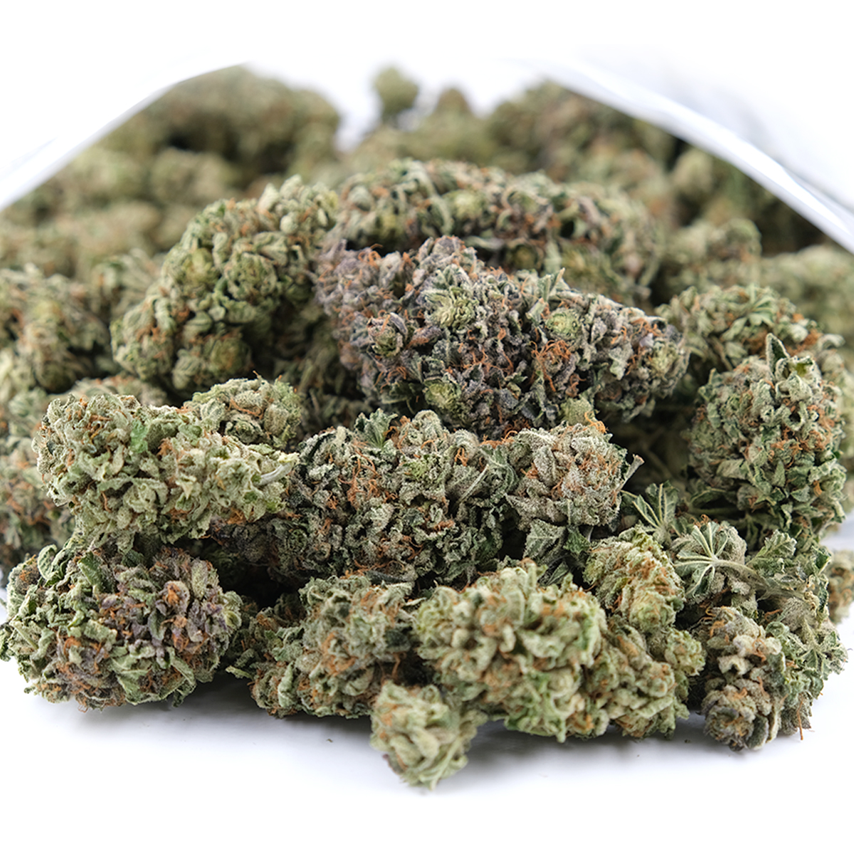 Buy-Purple-Kush-Bulk.jpg