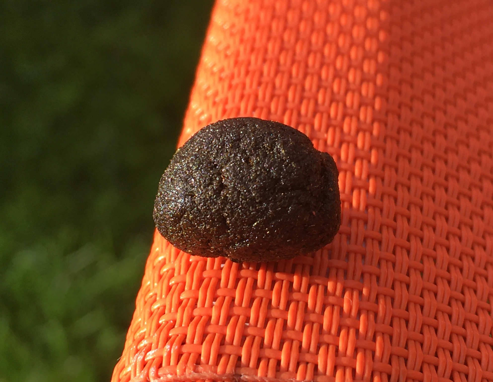 Moroccan Black Hash 2